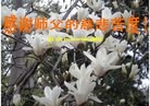 ֹ,󷨵ӹףʦã25
