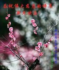 ֹ,󷨵ӹףʦ(28)
