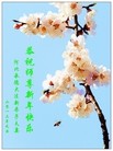 ֹ,½󷨵ӹףʦԪ֣29
