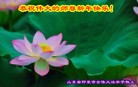 Published on 1/3/2013 ֹ,½󷨵ӹףʦԪ֣72
