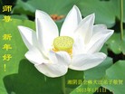 Published on 1/2/2013 ֹ,½󷨵ӹףʦԪ֣49
