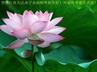 Published on 1/2/2013 ֹ,½󷨵ӹףʦԪ֣49
