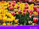 ֹ,Ϋ󷨵ӹףʦ(16)
