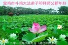 ֹ,󷨵Ӹʦ(14)
