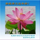 Published on 2/11/2013 ���ֹ�,ҽҩ����������·����ҵ��ϵͳ������ʦ�����꣨21����
