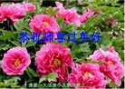 ֹ,󷨵ӹףʦã21
