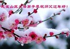 ֹ,ɹŴ󷨵ӹףʦ(20)
