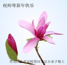 Published on 2/11/2013 ���ֹ�,��½��С���ӹ�ףʦ������ã�14����
