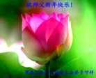 Published on 2/9/2016 ���ֹ�,��½�󷨵��ӹ�ףʦ�������(28��)
