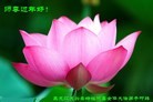Published on 2/9/2016 ���ֹ�,��½�󷨵��ӹ�ףʦ�������(28��)
