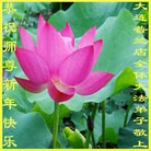 ֹ,󷨵ӹףʦ(16)
