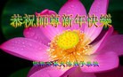 ֹ,ӱ󷨵ӹףʦ(30)
