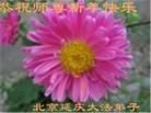 ֹ,󷨵ӹףʦã25
