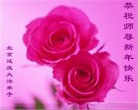 ֹ,󷨵ӹףʦ(25)
