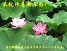 ֹ,ľ˹󷨵ӹףʦã17
