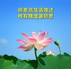 Published on 2/11/2013 ���ֹ�,��½�󷨵��ӹ�ףʦ������ã�24����
