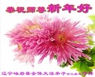 ֹ,󷨵ӹףʦã23
