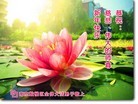 ֹ,մ󷨵ӹףʦã20
