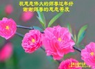 ֹ,󷨵ӹףʦã23
