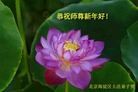 ֹ,󷨵ӹףʦã25
