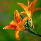 Published on 12/30/2013 ���ֹ�,���󷨵��ӹ�ףʦ��Ԫ������(37��)
