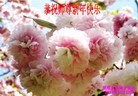 ֹ,ϴ󷨵ӹףʦԪ(27)
