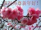 ֹ,ϴ󷨵ӹףʦԪ(27)
