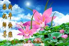 ֹ,ݡ̽󷨵ӹףʦԪ(27)
