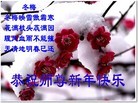 ֹ,󷨵ӹףʦԪ(23)
