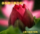 ֹ,ʡ󷨵ӹףʦԪ(31)
