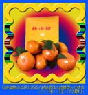 Published on 12/31/2013 ���ֹ�,���󷨵��ӹ�ףʦ��Ԫ������(23��)
