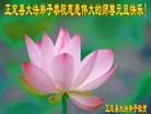 ֹ,ʯׯ󷨵ӹףʦԪ(24)
