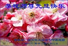 ֹ,д󷨵ӹףʦԪ(19)
