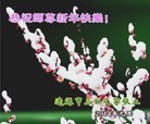 ֹ,ʡ󷨵ӹףʦԪ(31)

