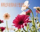 ֹ,󷨵ӹףʦԪ(20)
