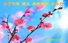 ֹ,󷨵ӹףʦԪ(24)
