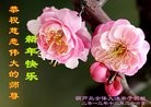 ֹ,«󷨵ӹףʦԪ(18)
