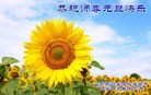 ֹ,Ϋ󷨵ӹףʦԪ(32)
