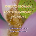 ֹ,󷨵ӹףʦԪ(25)
