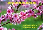 ֹ,½󷨵ӹףʦԪ(84)
