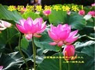 ֹ,Ϋ󷨵ӹףʦԪ(24)
