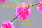 ֹ,㶫󷨵ӹףʦԪ(22)
