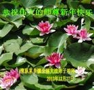 Published on 1/1/2014 ���ֹ�,��½�󷨵��ӹ�ףʦ��Ԫ������(41��)
