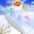 Published on 1/1/2014 ���ֹ�,����ҵ�󷨵��ӹ�ףʦ��Ԫ������(52��)
