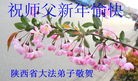 ֹ,󷨵ӹףʦԪ(30)
