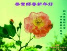 ֹ,̽󷨵ӹףʦԪ(16)
