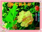 ֹ,̽󷨵ӹףʦԪ(16)
