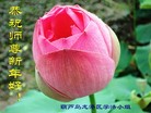 ֹ,«󷨵ӹףʦã19
