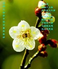 ֹ,½󷨵ӹףʦ(31)
