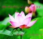 ֹ,½󷨵ӹףʦ(31)
